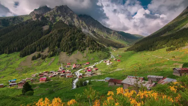 Bangus Valley