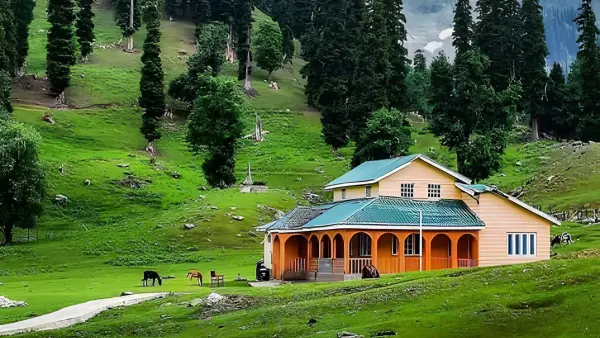5 night 6 days  sonamarg special