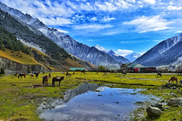 Kashmir Tour Package – 4 Nights / 5 Days