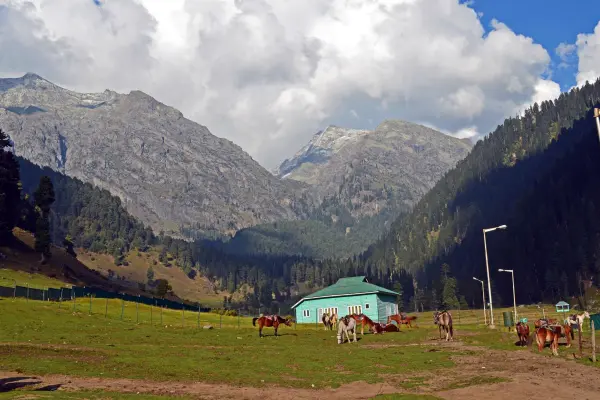 4 Nights / 5 Days Kashmir Tour Package